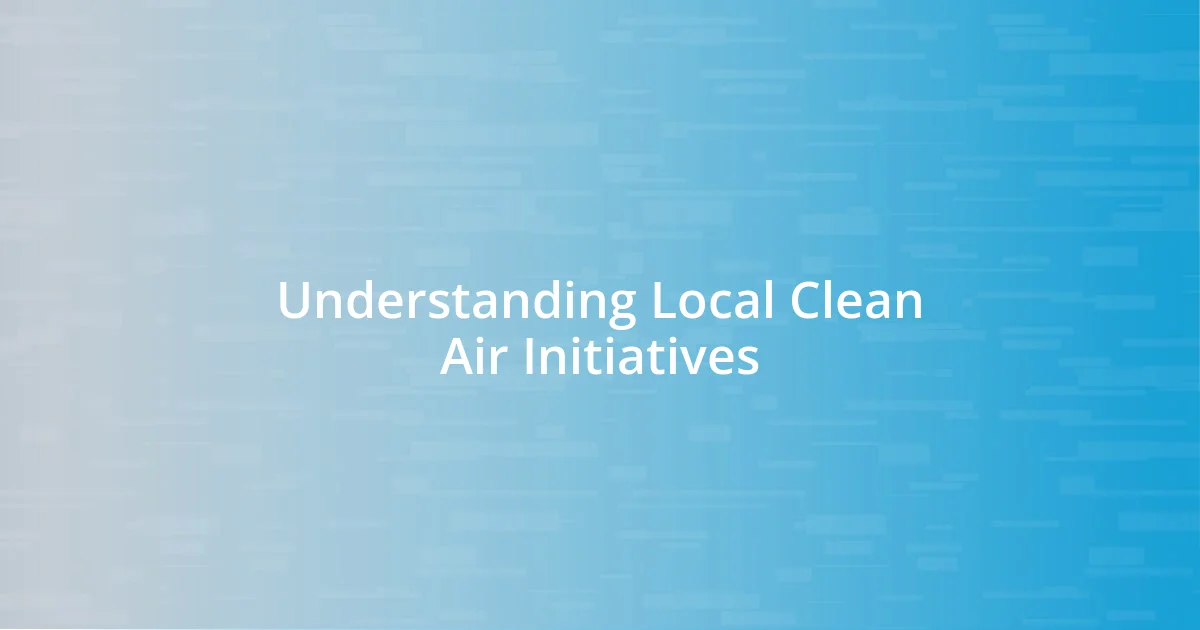 Understanding Local Clean Air Initiatives