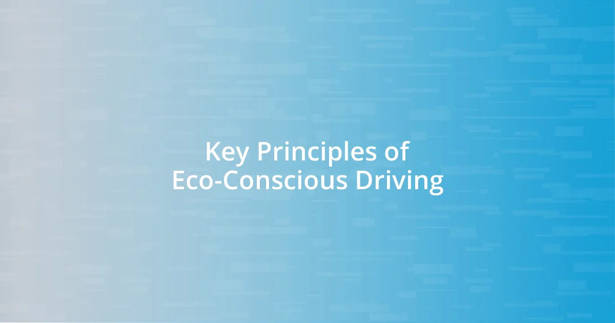 Key Principles of Eco-Conscious Driving